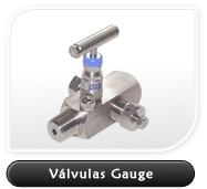Gauge Valve